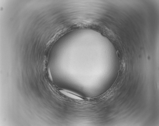 X0000054471012200508270124