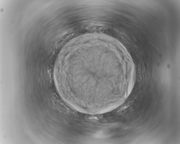 X0000054471013200508270124