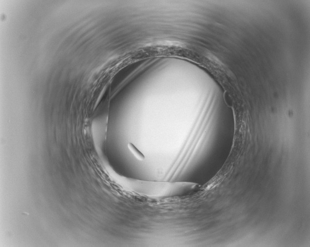 X0000054471014200508270124