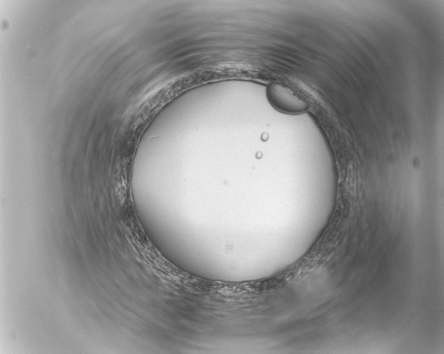 X0000054471015200508270124