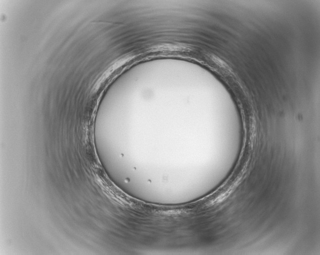 X0000054471017200508270124