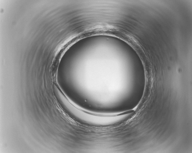 X0000054471018200508270124