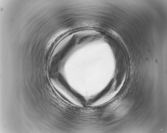 X0000054471019200508270124