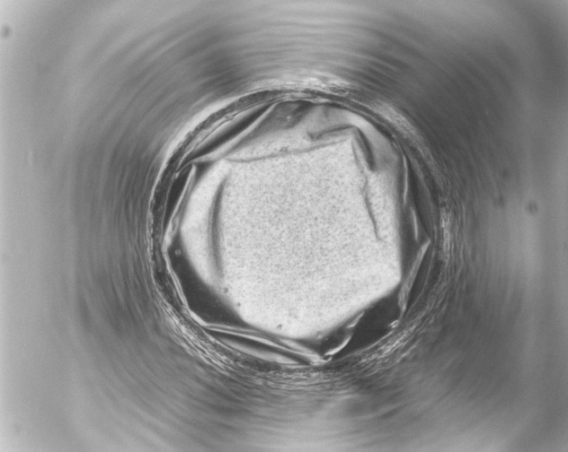 X0000054471020200508270124