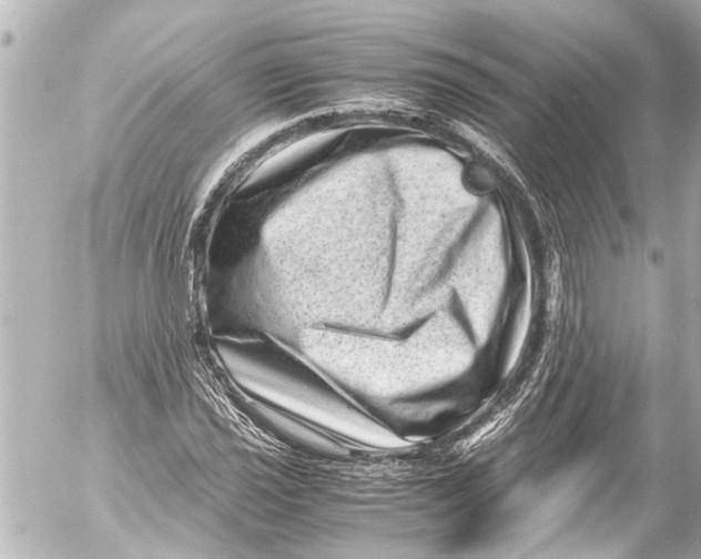 X0000054471021200508270124