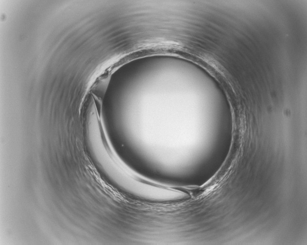 X0000054471022200508270124