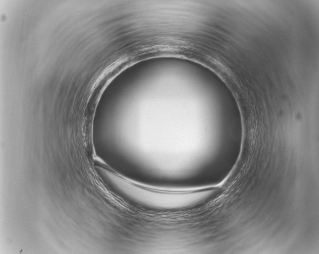 X0000054471026200508270124