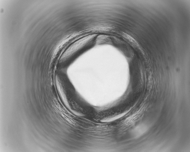 X0000054471027200508270124