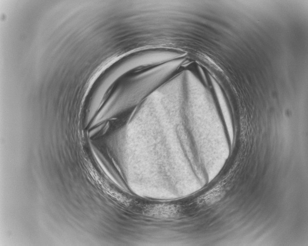 X0000054471029200508270124