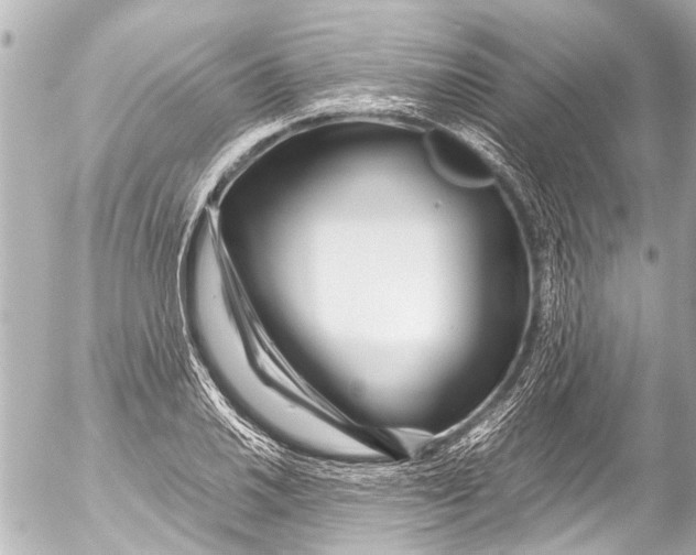 X0000054471030200508270124