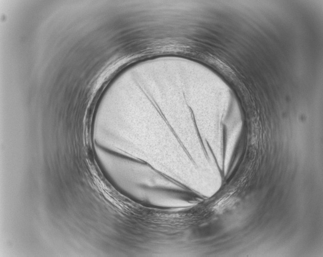 X0000054471031200508270124