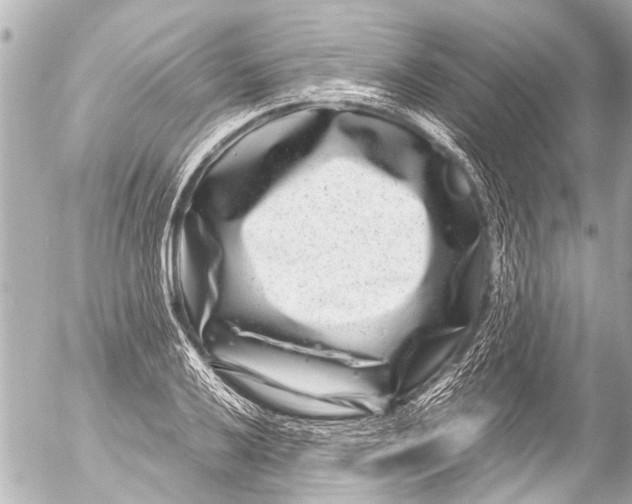 X0000054471032200508270124