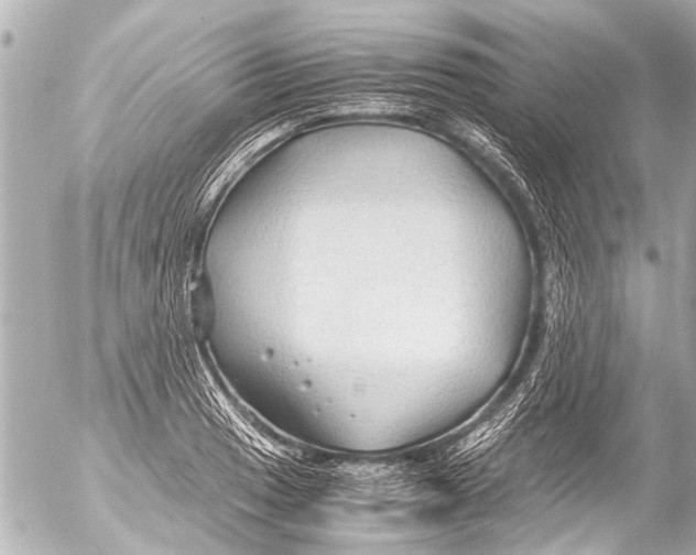 X0000054471033200508270124