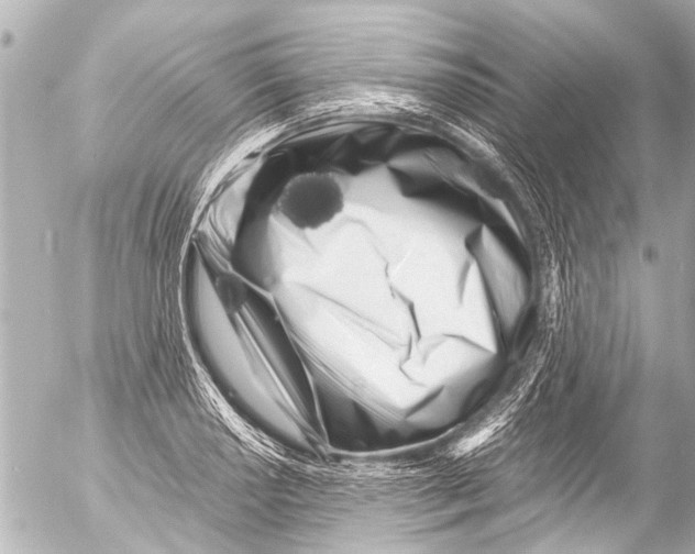 X0000054471034200508270124