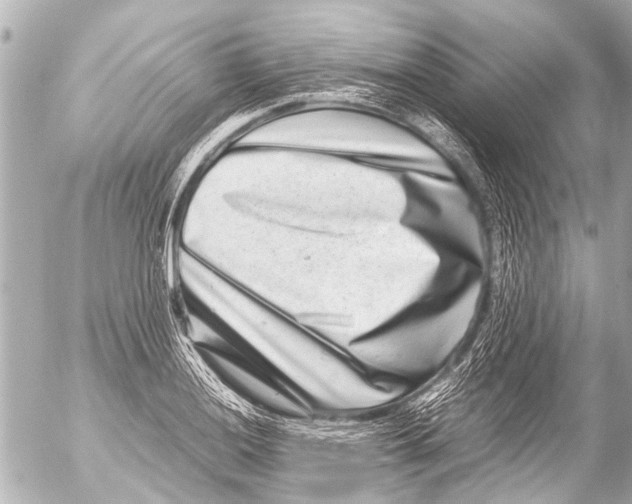 X0000054471036200508270124