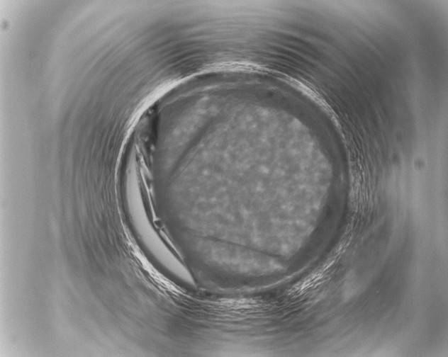 X0000054471037200508270124