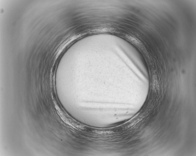 X0000054471039200508270124