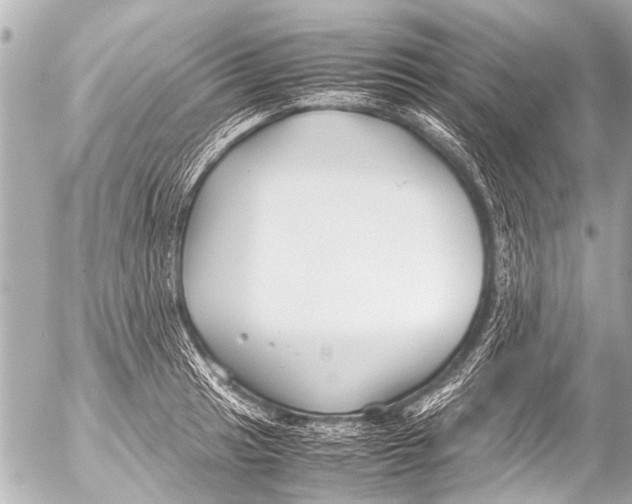 X0000054471041200508270124