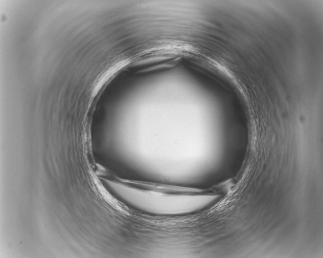 X0000054471042200508270124