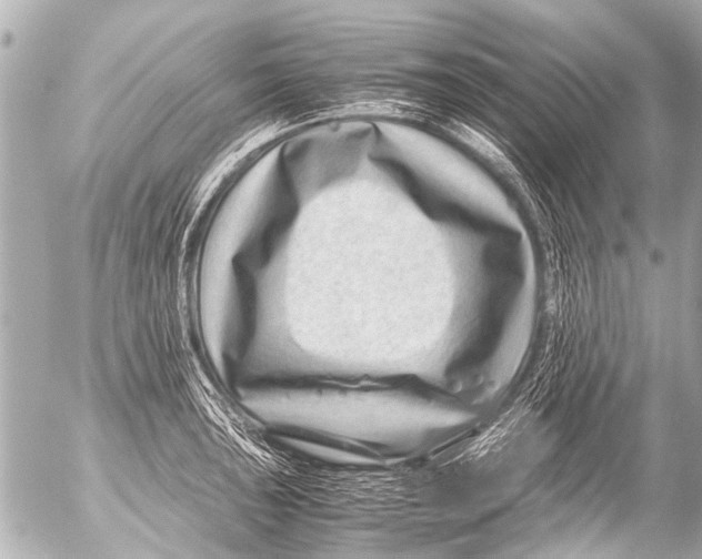 X0000054471043200508270124