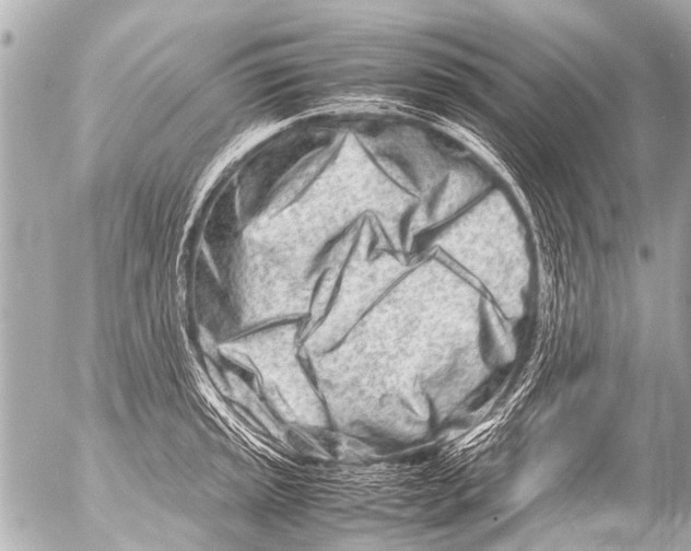 X0000054471045200508270124