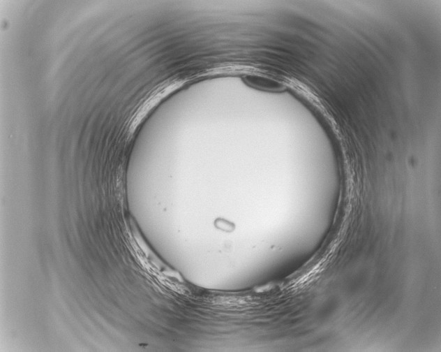 X0000054471049200508270124