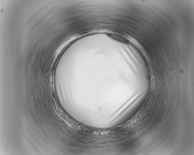 X0000054471051200508270124