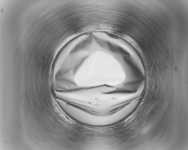 X0000054471052200508270124