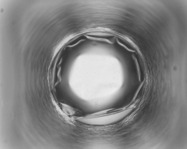 X0000054471054200508270124