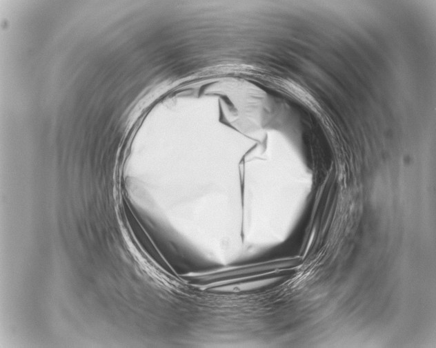 X0000054471055200508270124