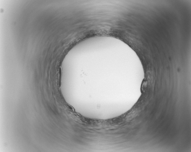 X0000054471057200508270124