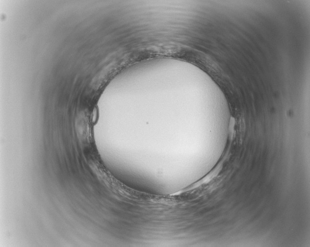 X0000054471058200508270124