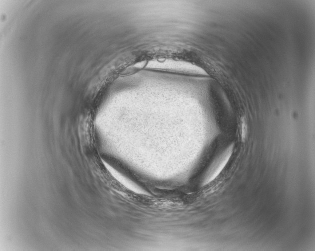 X0000054471059200508270124