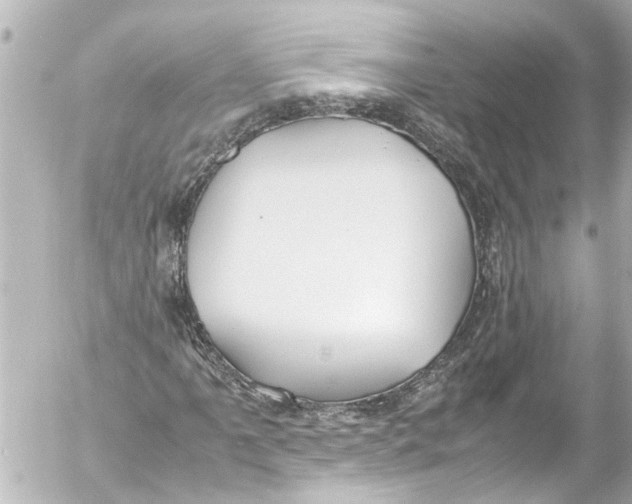 X0000054471061200508270124