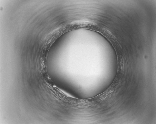 X0000054471062200508270124