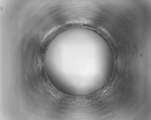 X0000054471064200508270124