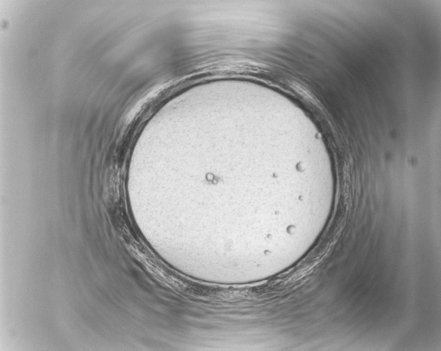 X0000054471067200508270124