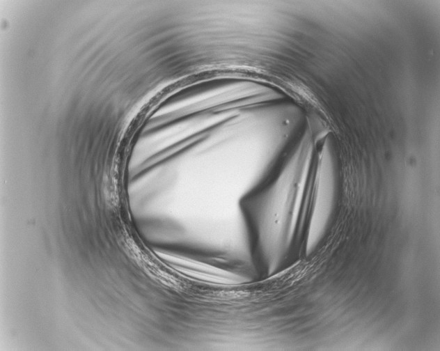 X0000054471068200508270124