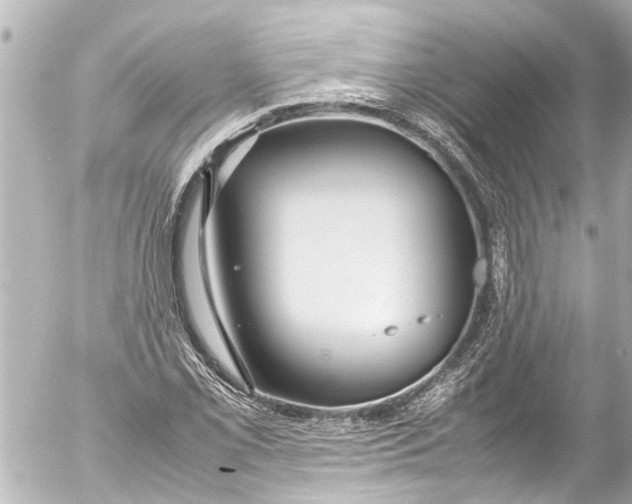 X0000054471069200508270123