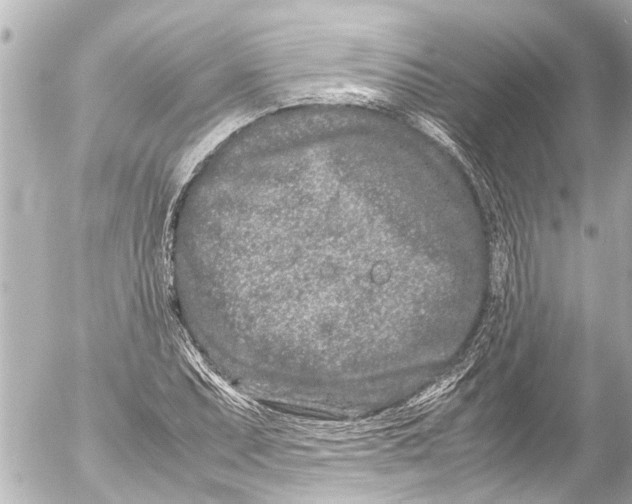 X0000054471071200508270123