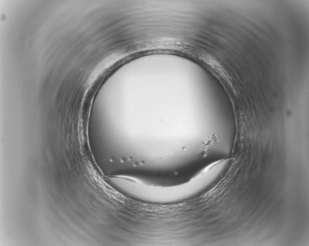 X0000054471072200508270123