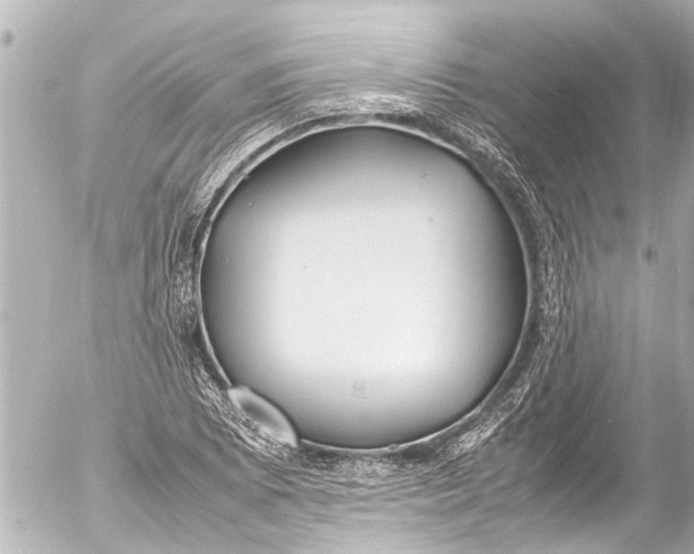 X0000054471073200508270123