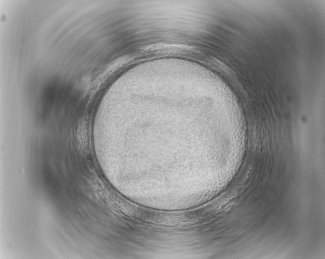 X0000054471074200508270123