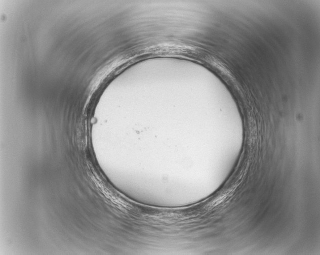 X0000054471075200508270123