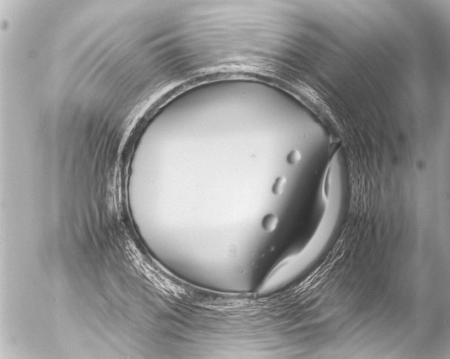 X0000054471076200508270123