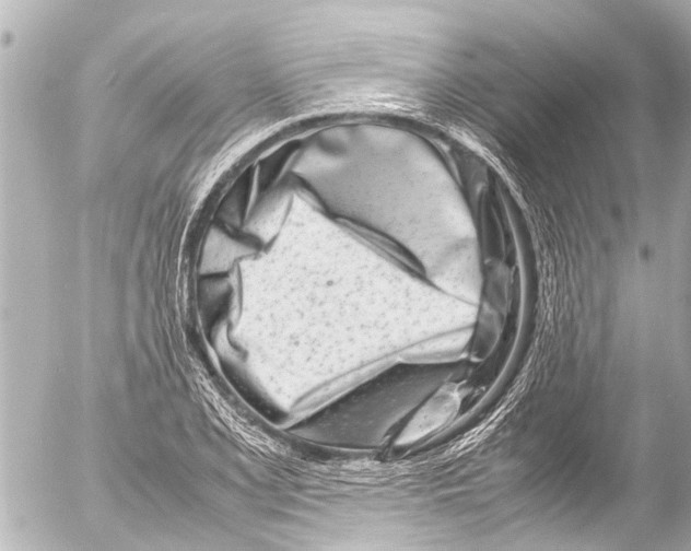 X0000054471077200508270123