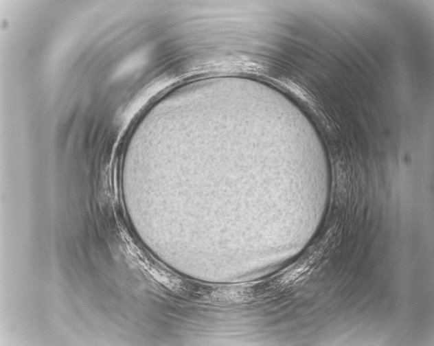 X0000054471078200508270123