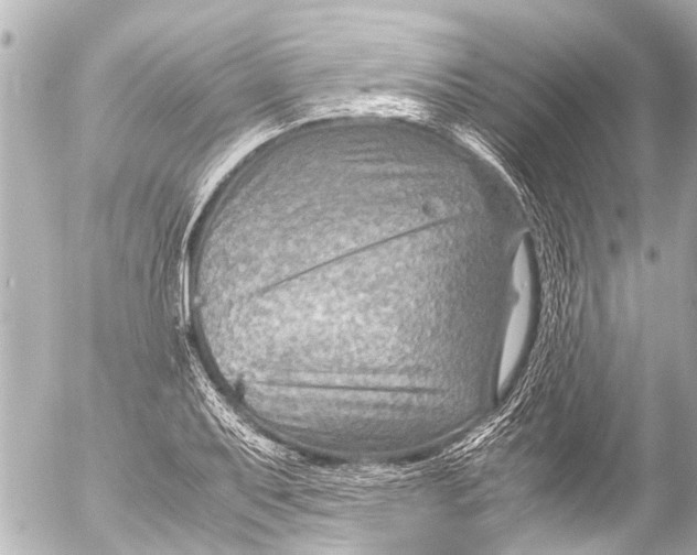 X0000054471079200508270123