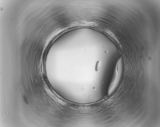 X0000054471080200508270123