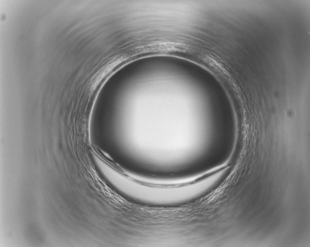 X0000054471081200508270123